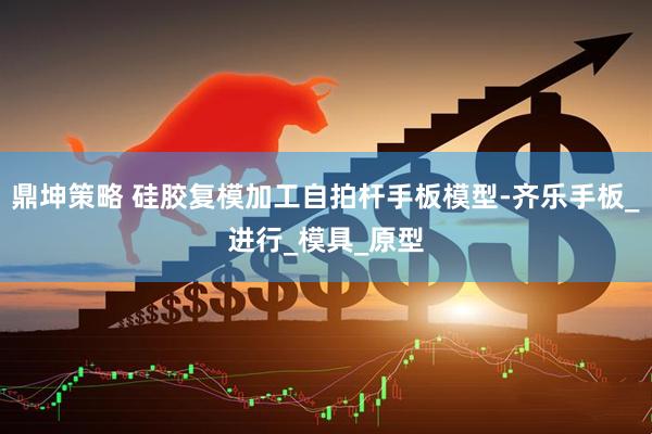 鼎坤策略 硅胶复模加工自拍杆手板模型-齐乐手板_进行_模具_原型